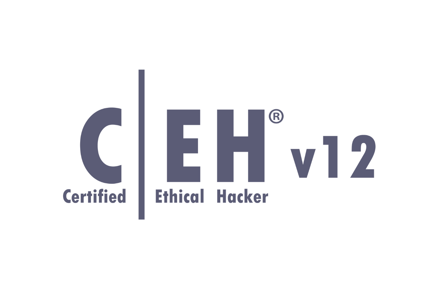 ceh v12 certification course